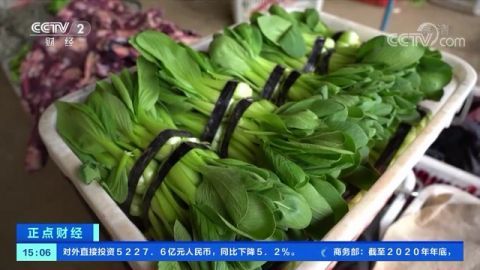 阿妈都懵了 一餐蔬菜要花近30元 菜比肉贵,不少蔬菜 身价 翻番 网友 要大口吃肉了