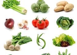各种蔬菜设计素材专题 皮图网 专注免费设计素材下载的网站 免费设计图片 ...